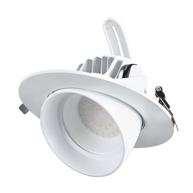 Gimbal LED Downlight